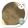 설레고설렌.113