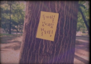 컬러링